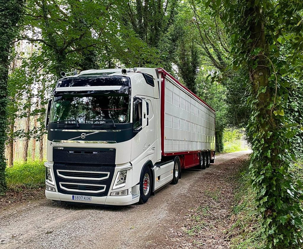 integraciones-silleda- (1)